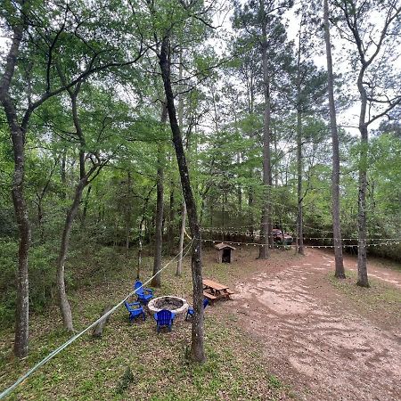 2 Bdrm Treehouse Hideout- Lake Conroe With Boat Ramp Montgomery Exteriör bild