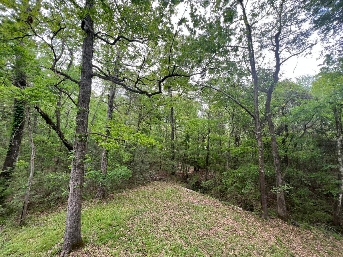 2 Bdrm Treehouse Hideout- Lake Conroe With Boat Ramp Montgomery Exteriör bild